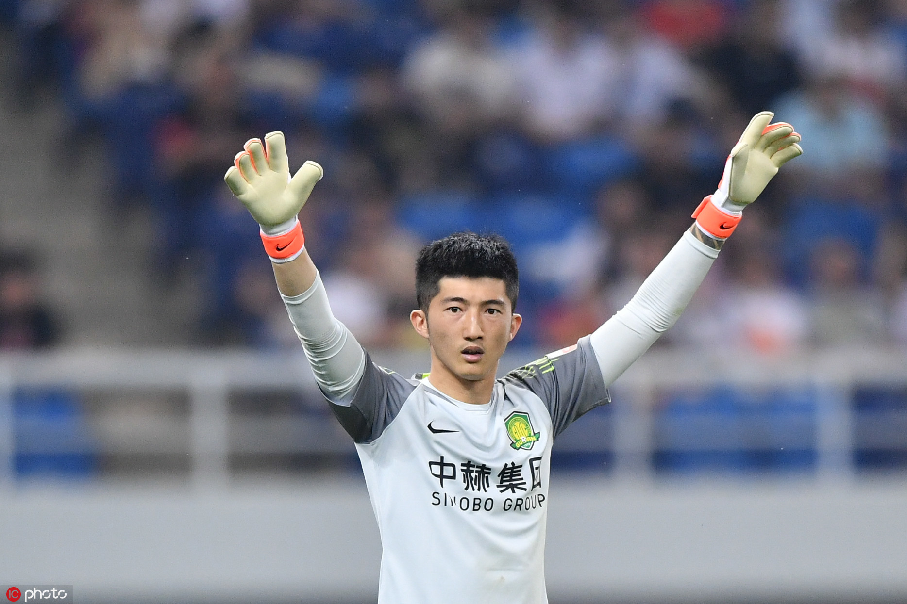 ����������ֲ�