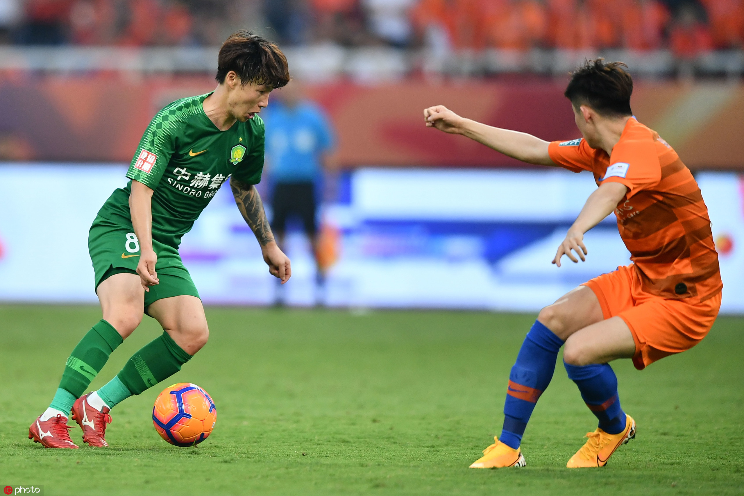 ����������ֲ�