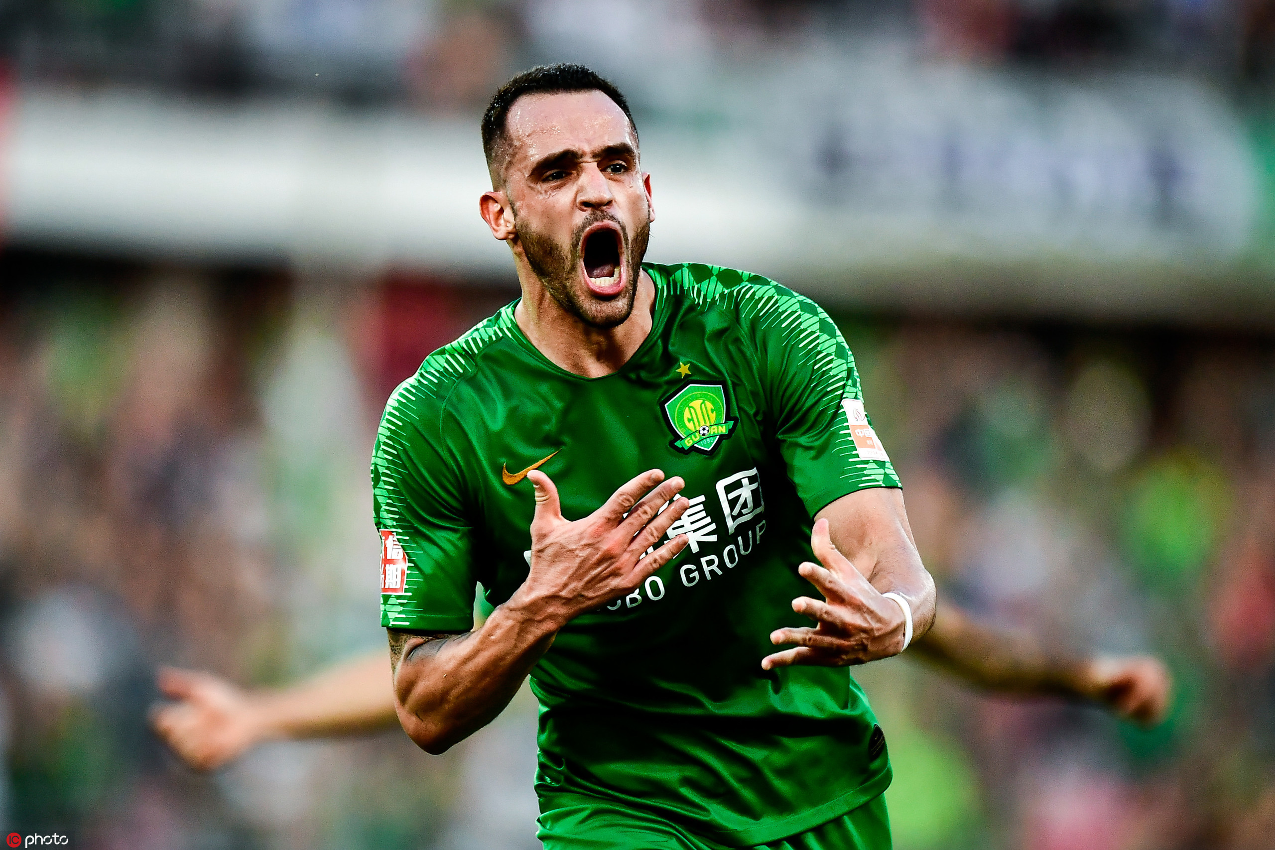 ����������ֲ�