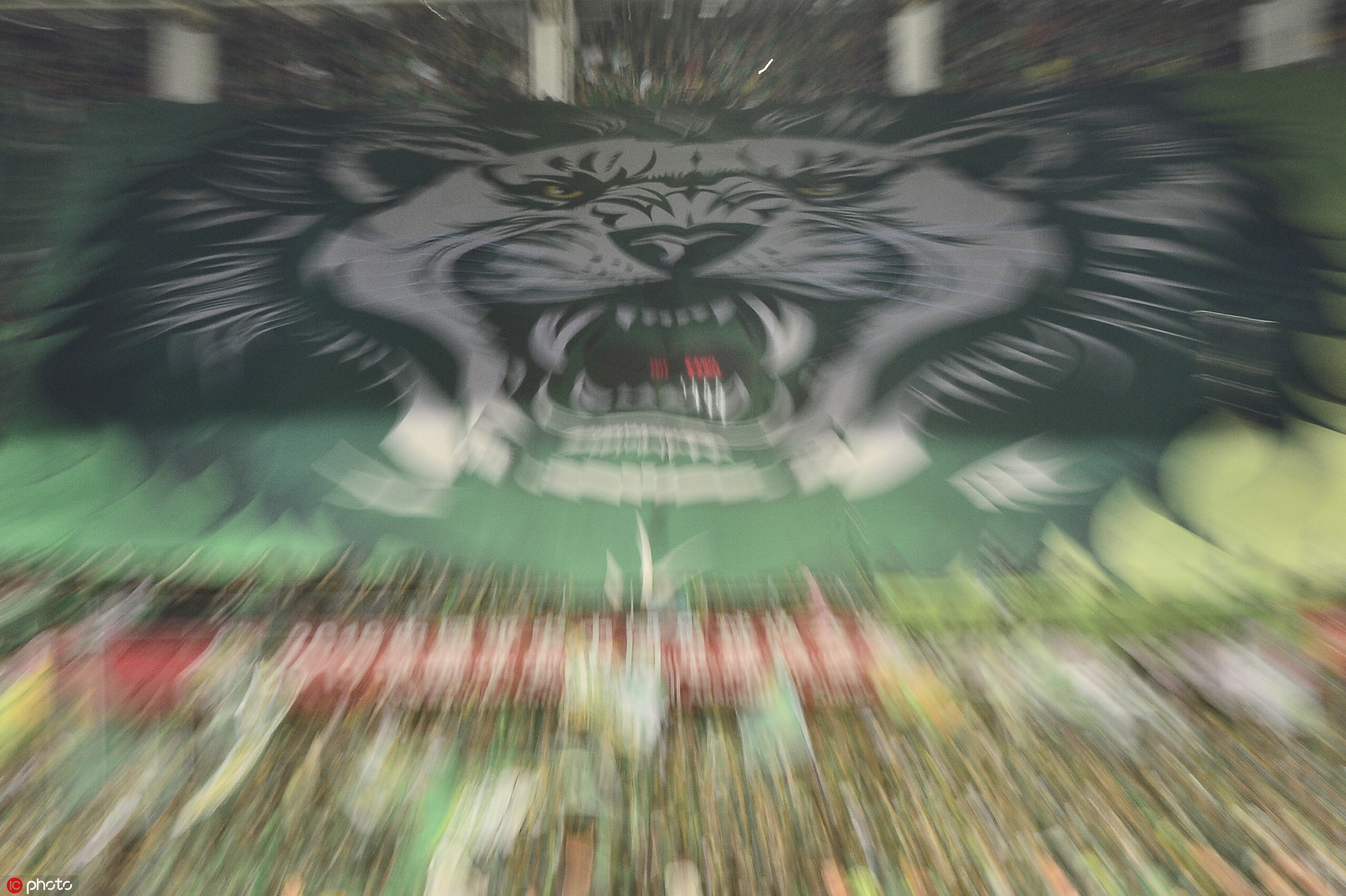 ����������ֲ�