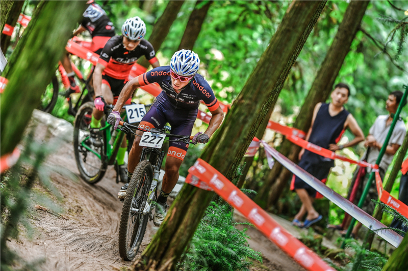 �������»