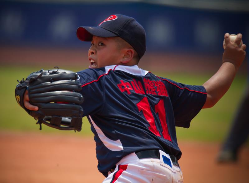 �������»