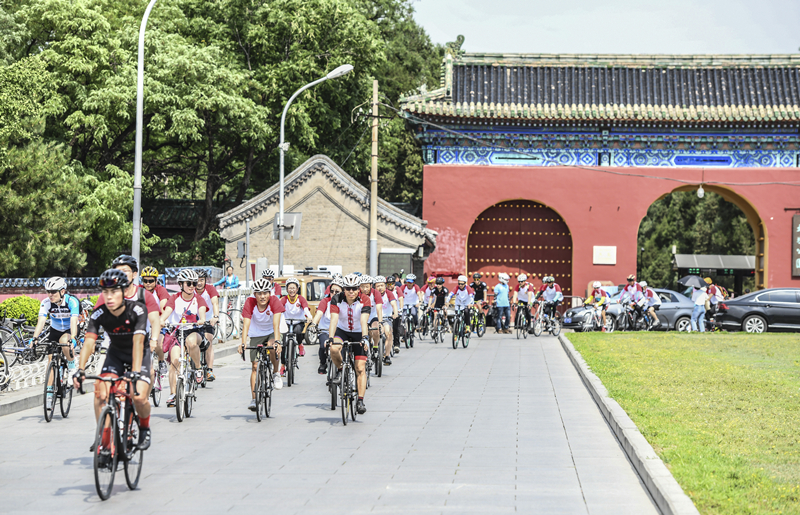 �������»