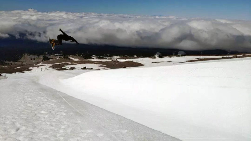 �����ܾ�