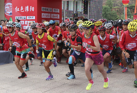 体育总局 体育总局