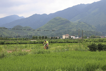 体育总局 体育总局