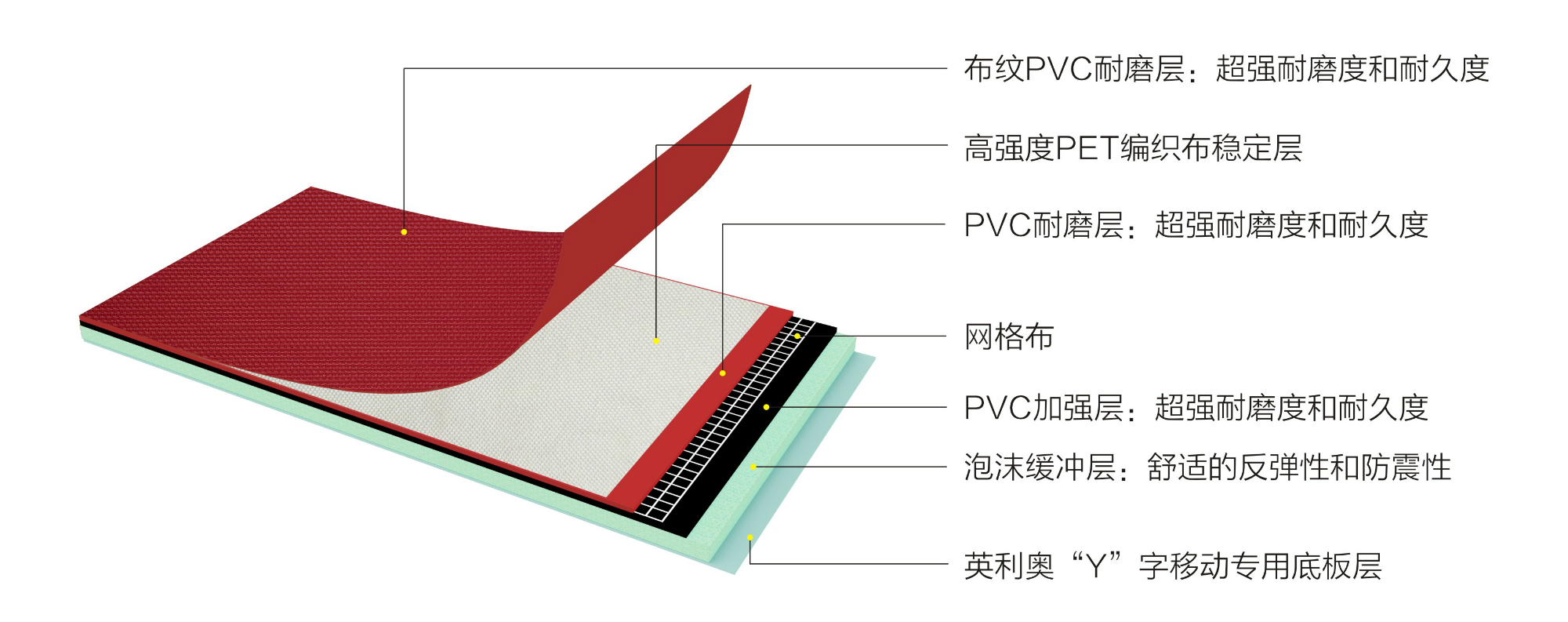 Ӣ����PET5.5mm��ɫ�����˶��ذ�-�ṹͼ