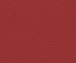 �ռ��͡���Ƥ�ƣ��죩