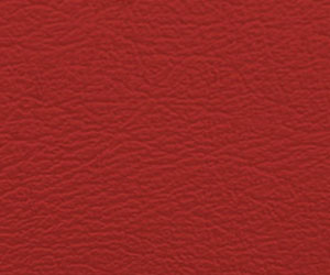 ����-XL���죩