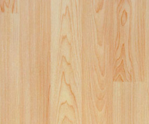 ������ľ�ƣ�BG.6819��