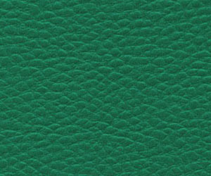 ����-XL���̣�