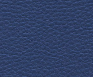 ����-XL��������