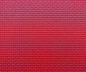 ѵ���͡������ƣ��죩