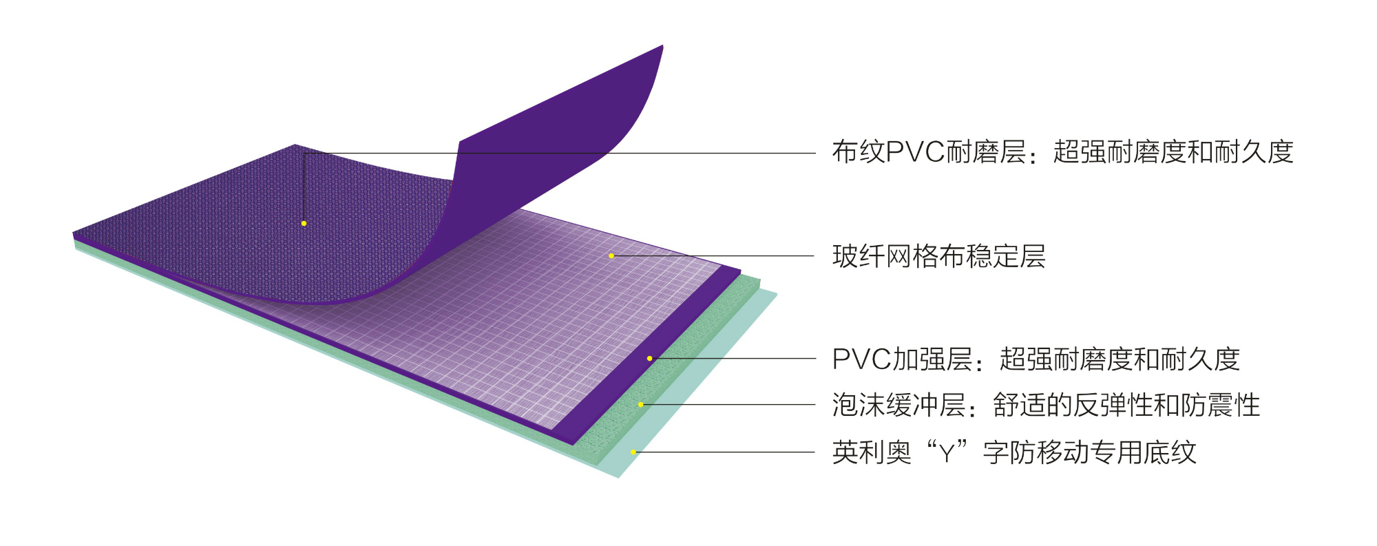 Ӣ����PET5.5mm��ɫ�����˶��ذ�-�ṹͼ