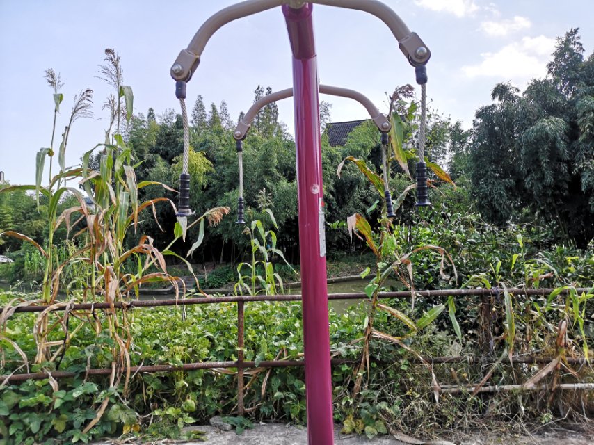 ��֫ǣ����