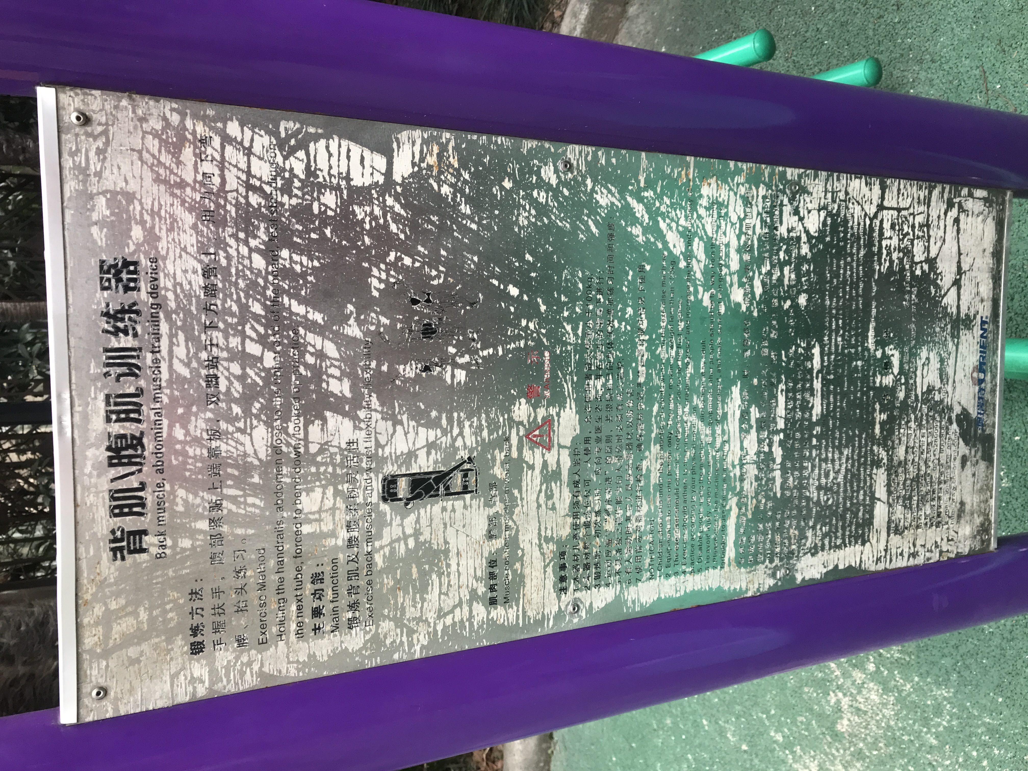 腹背锻炼器 腹背锻炼器