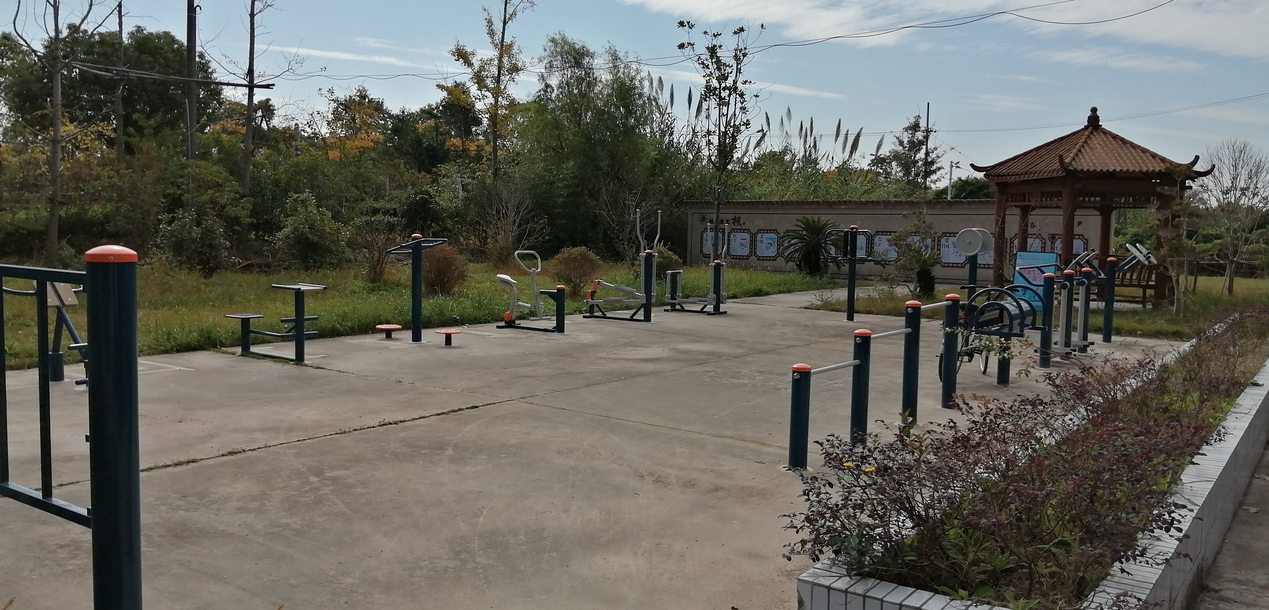 ԣ��彡���㣨����