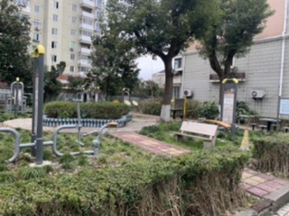 �����彡����