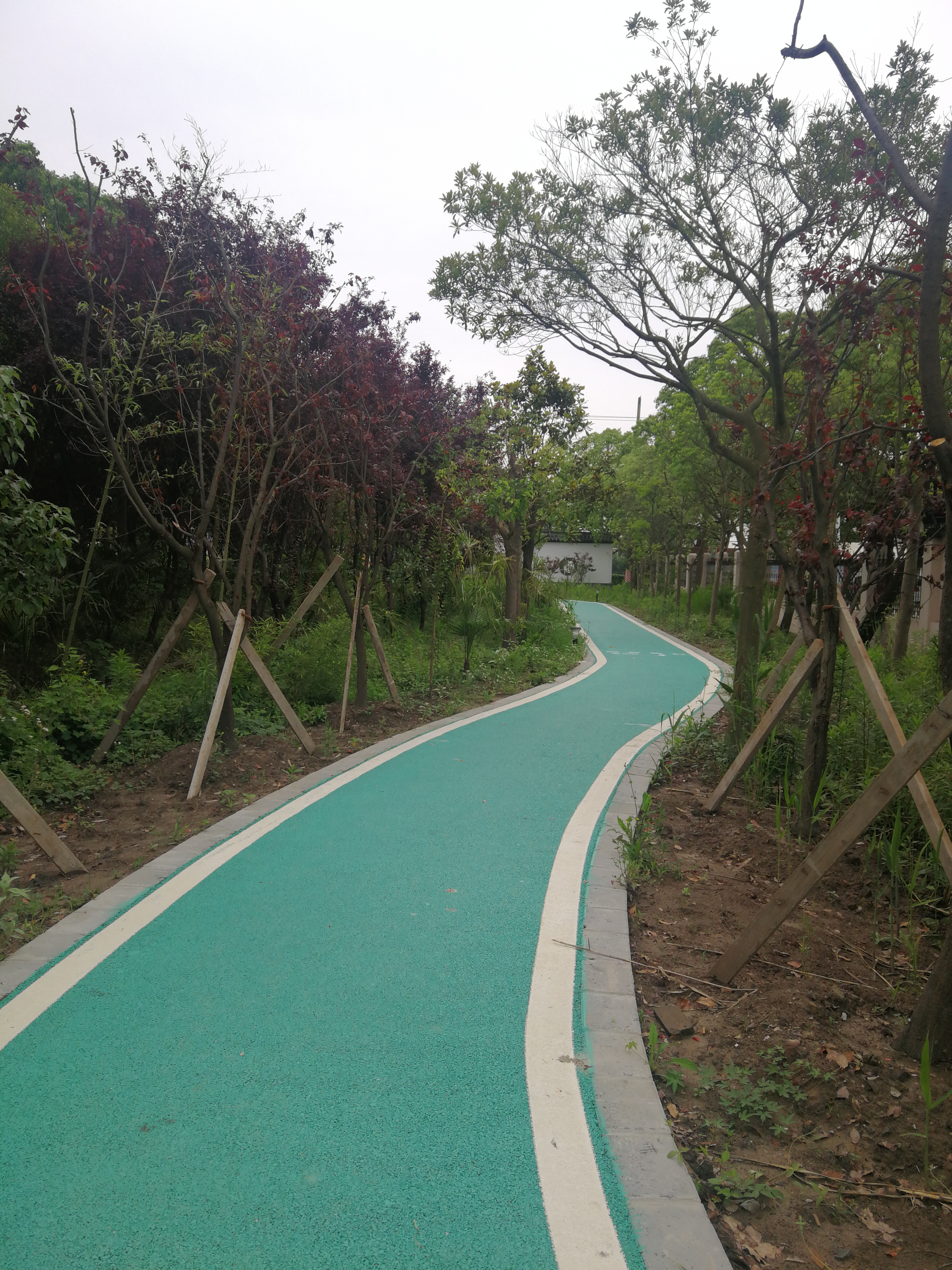 �в���12�齡����