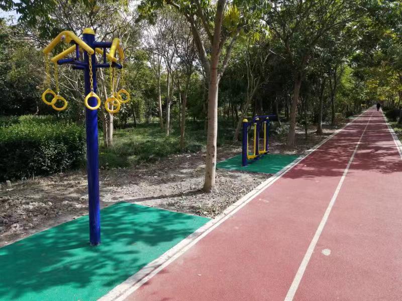 ���������㣨�ϣ�