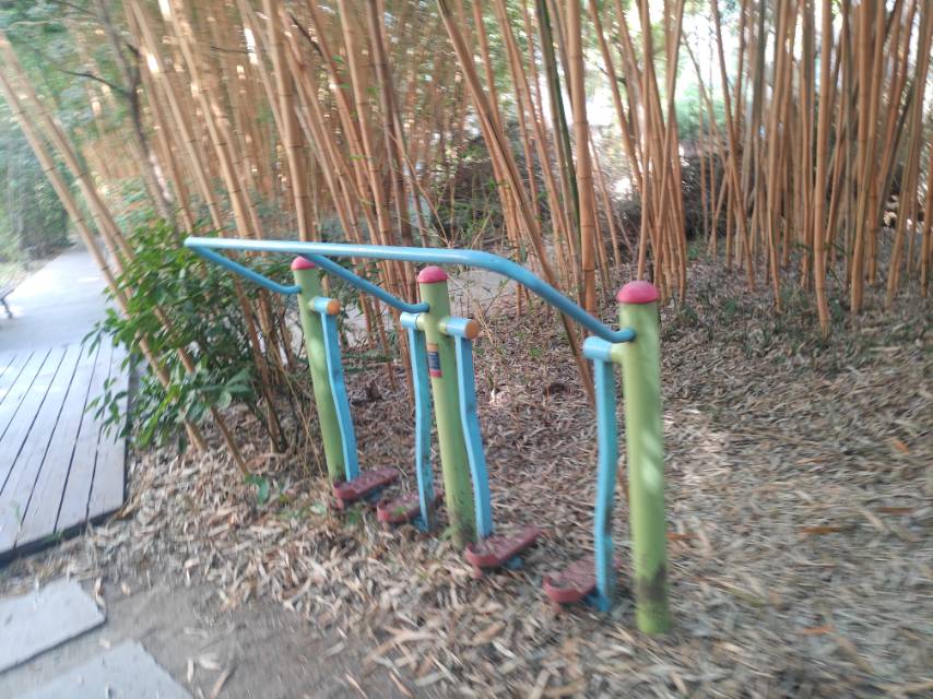 ̫��������