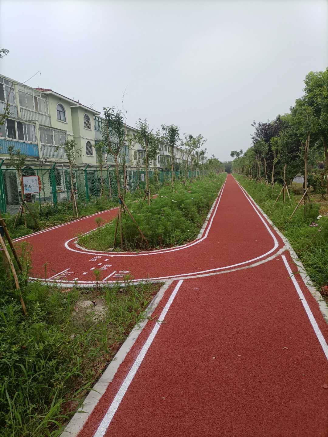 ��Ҷ���������