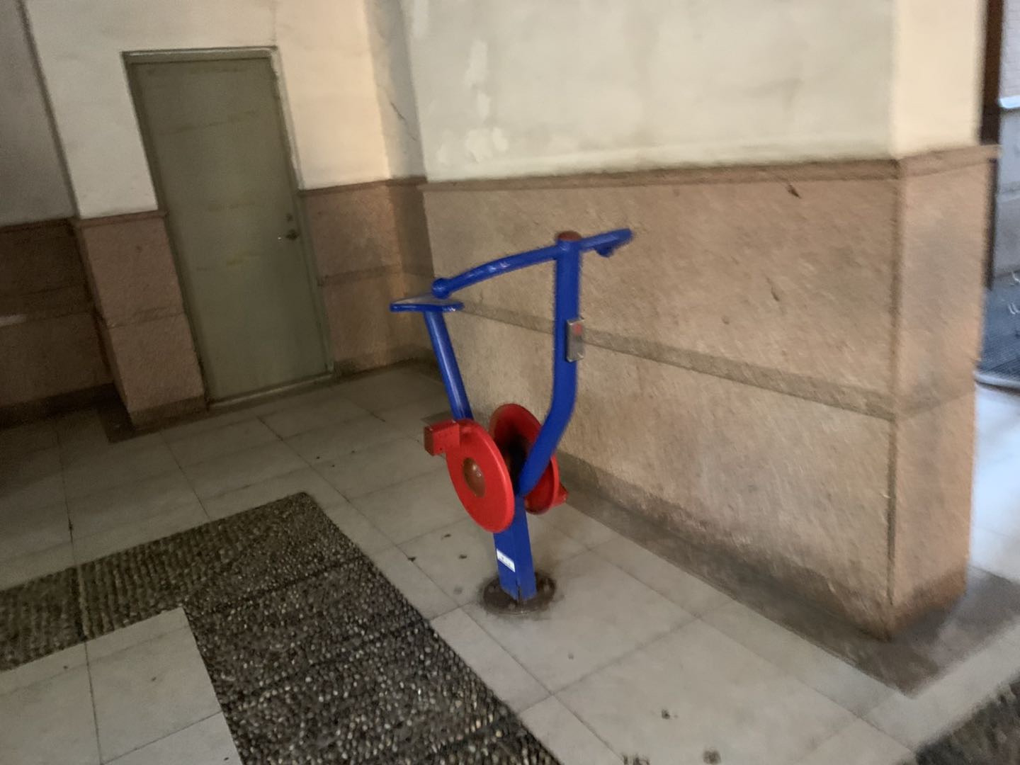 ֱ��������