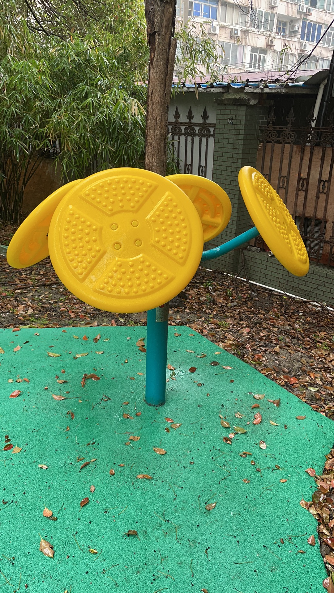 ����ѵ����