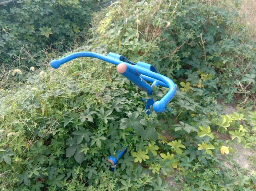 ����ѵ����