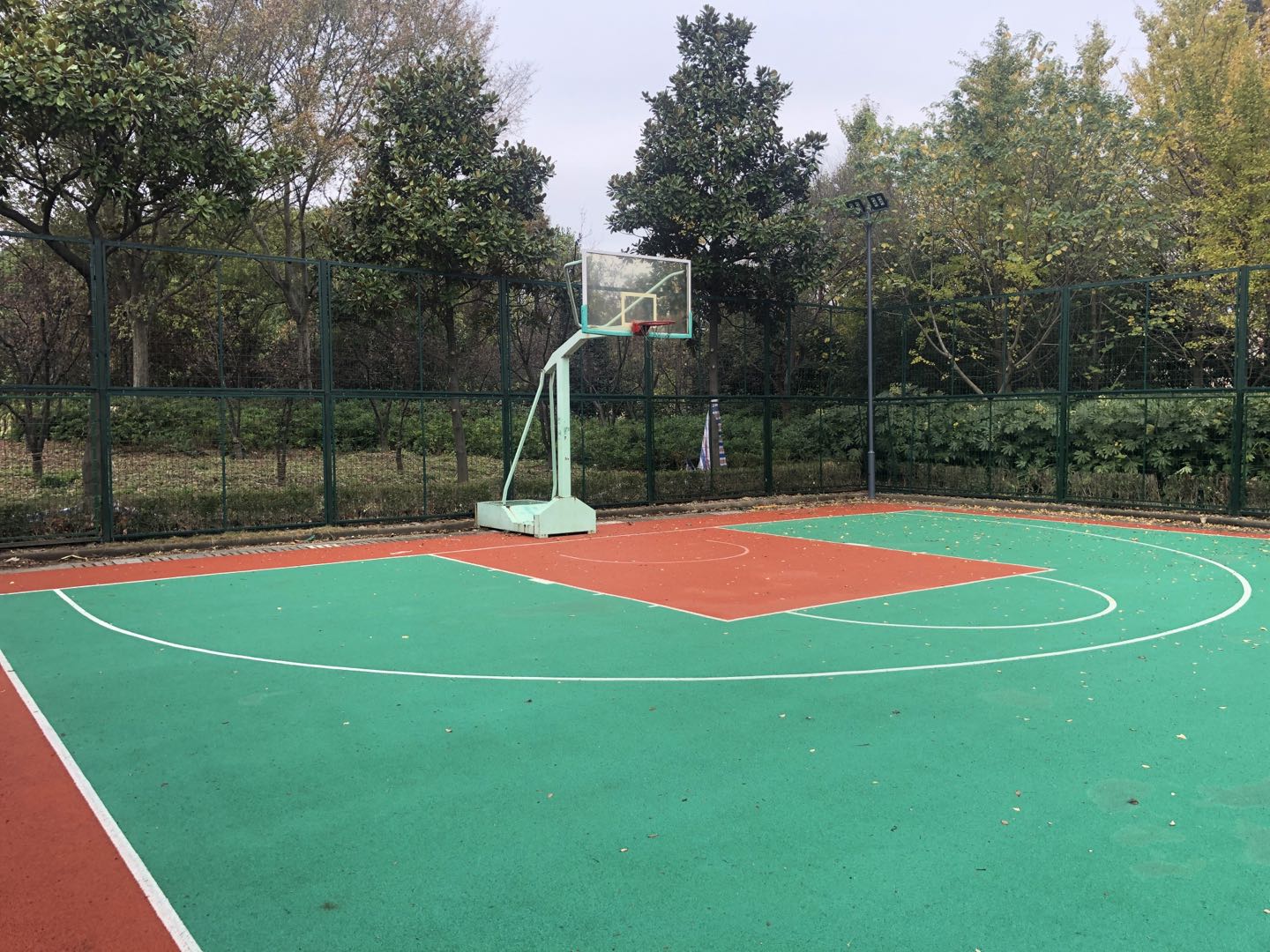 �þ�԰������