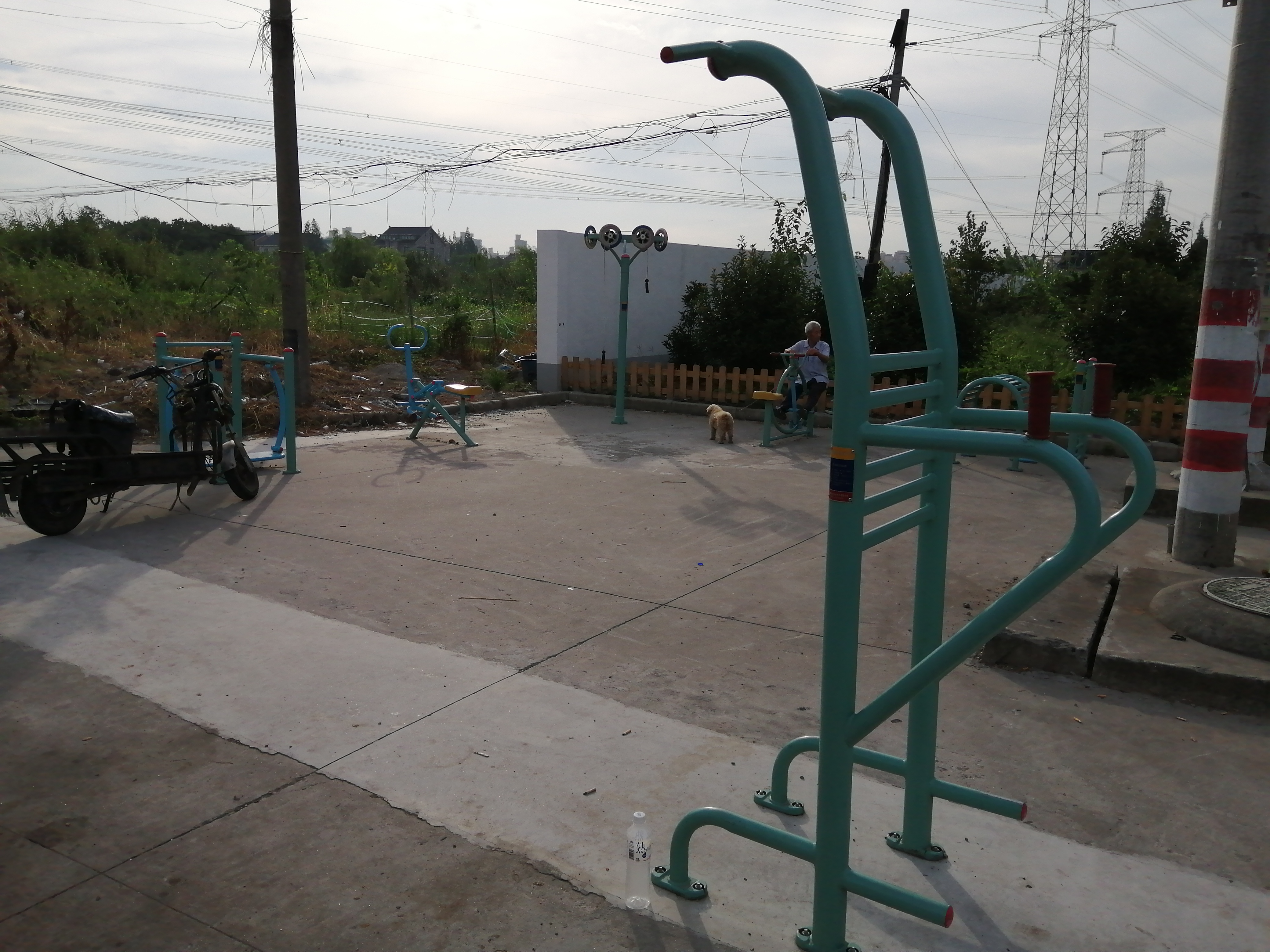 ��һ��ίС����������