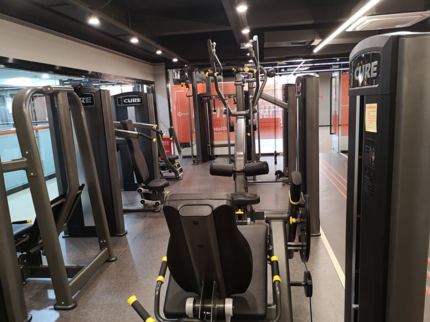 �������»�������������