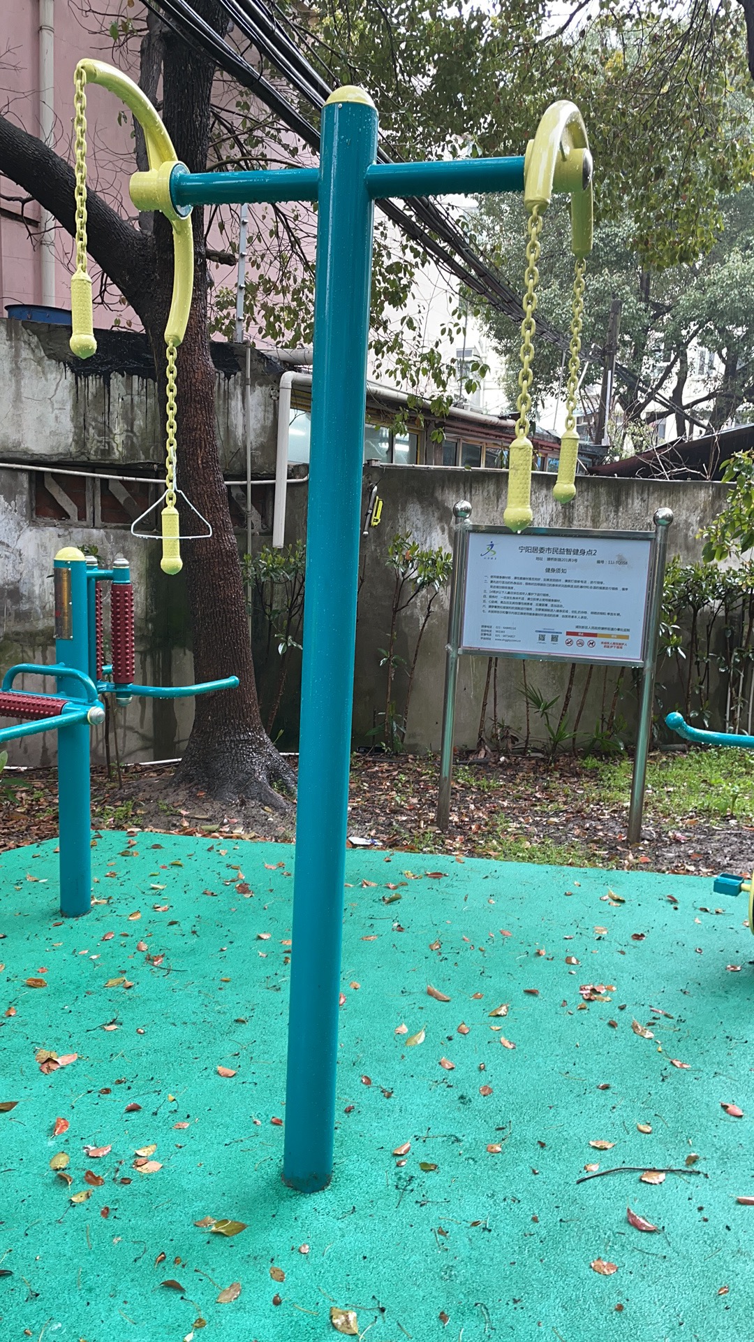 ��֫ǣ����