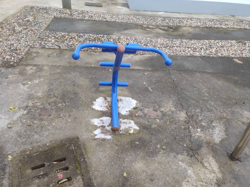 ����ѵ����