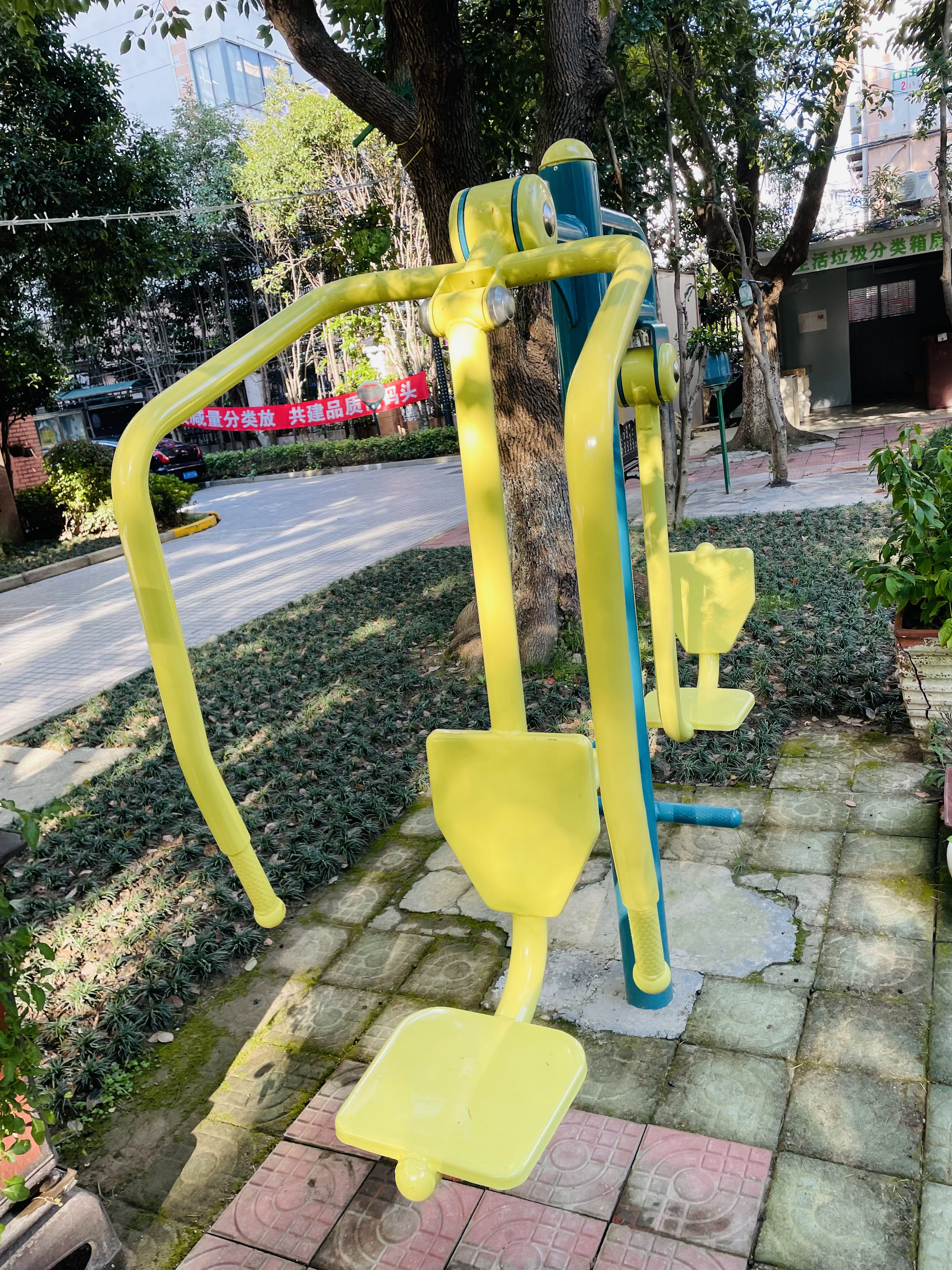 ����֫ѵ����