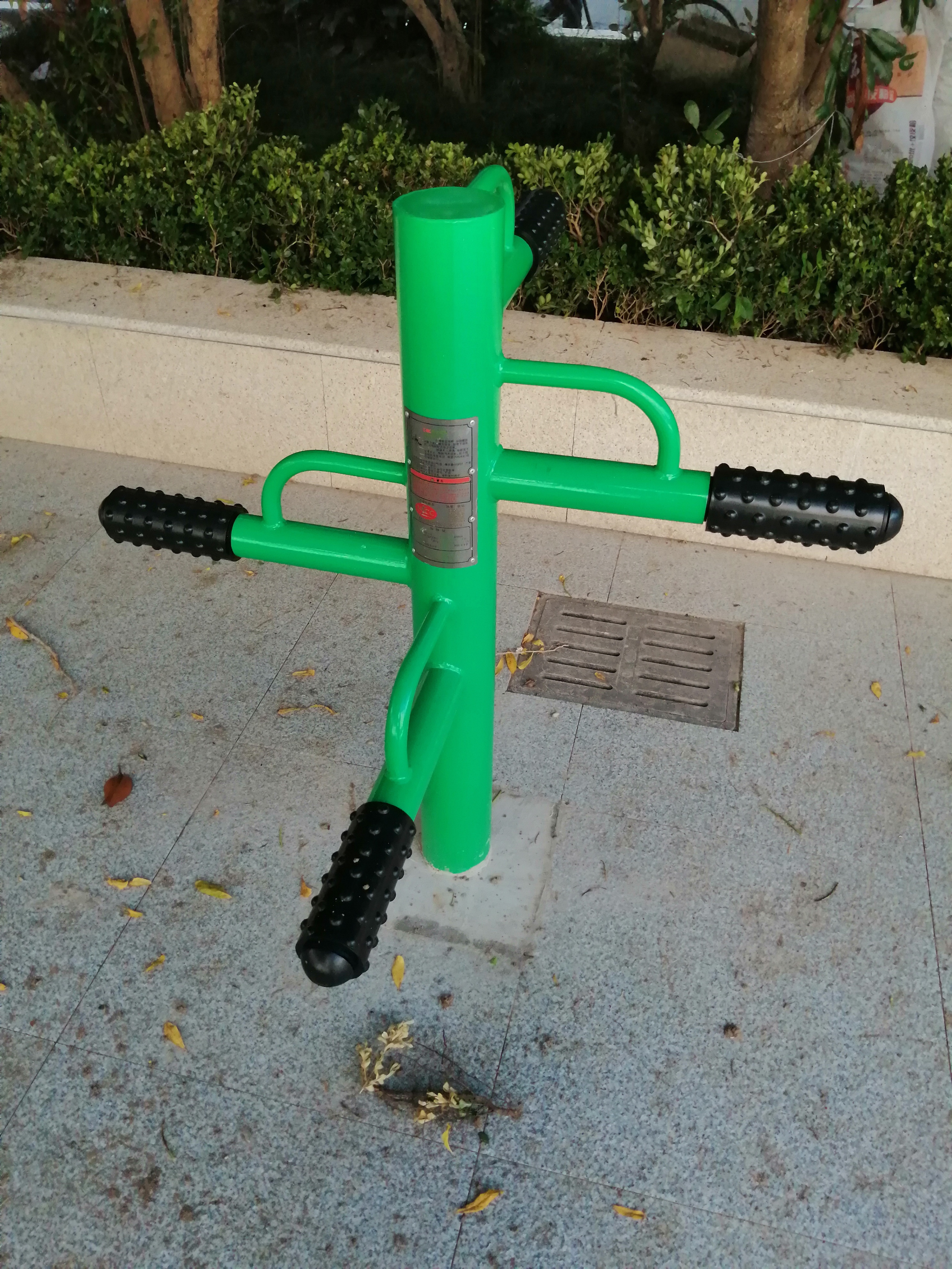 �Ȳ���Ħ��