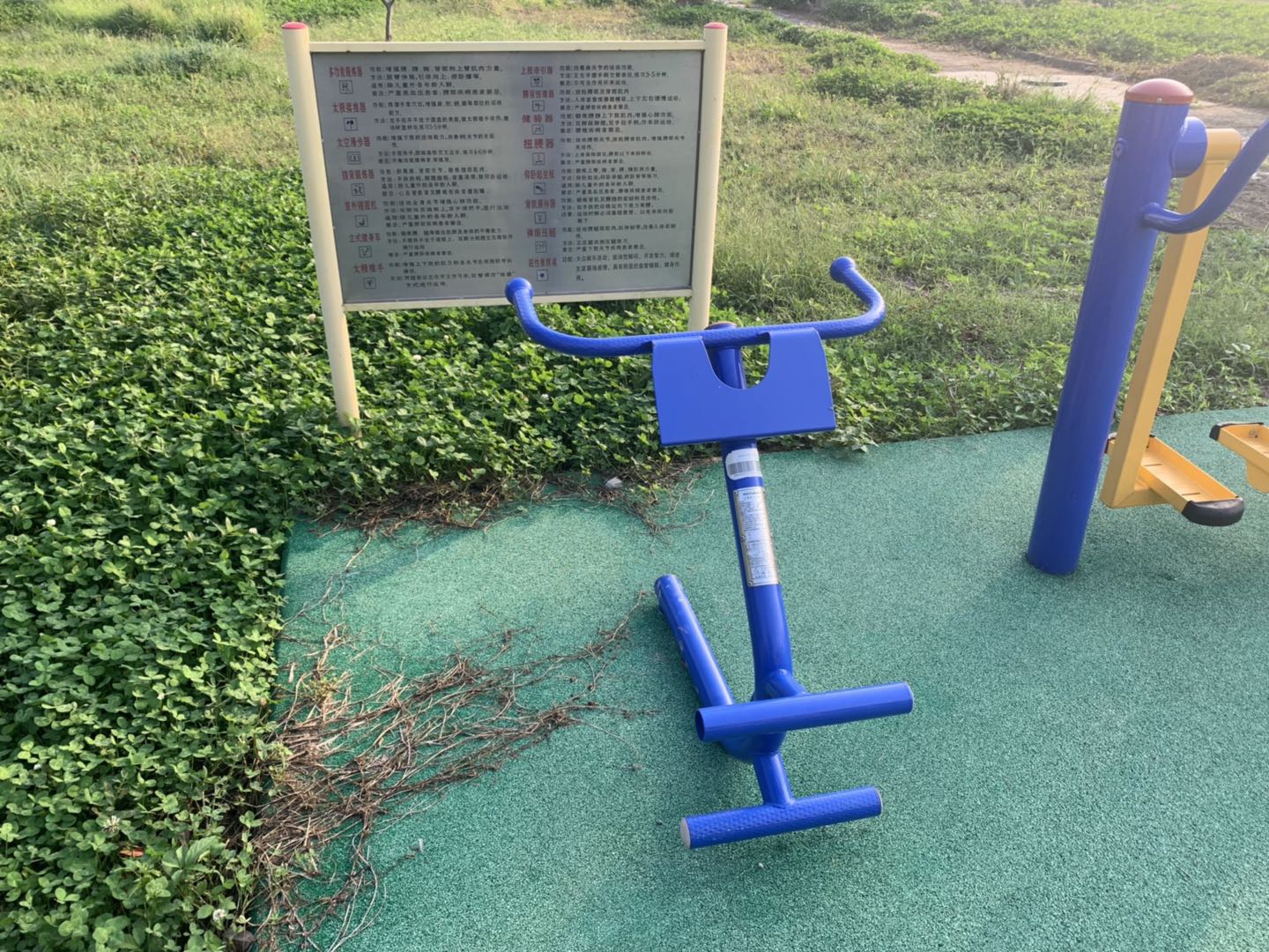 ����/����ѵ����