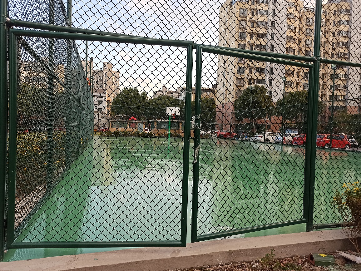 �𶼽�����