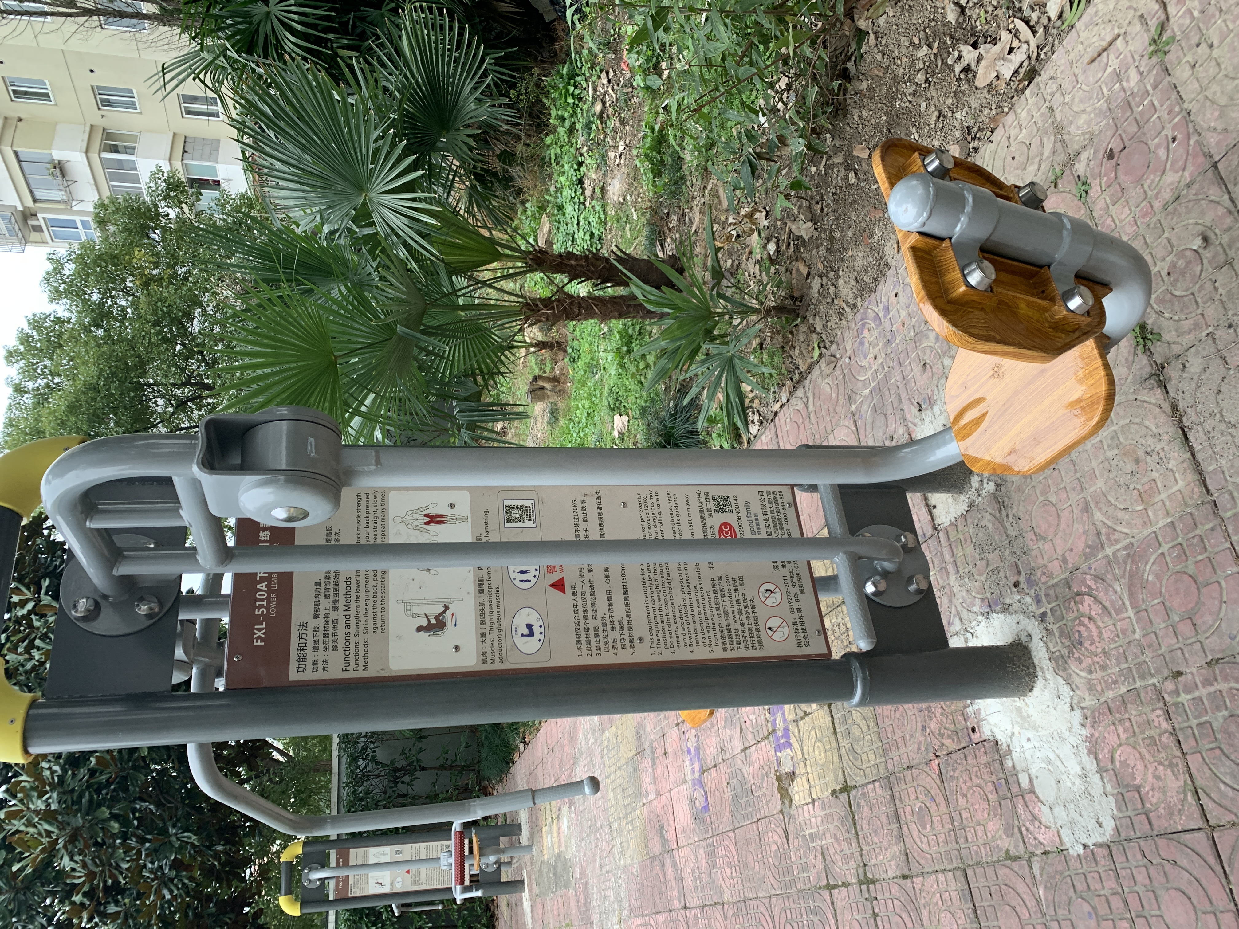 ����֫ѵ����