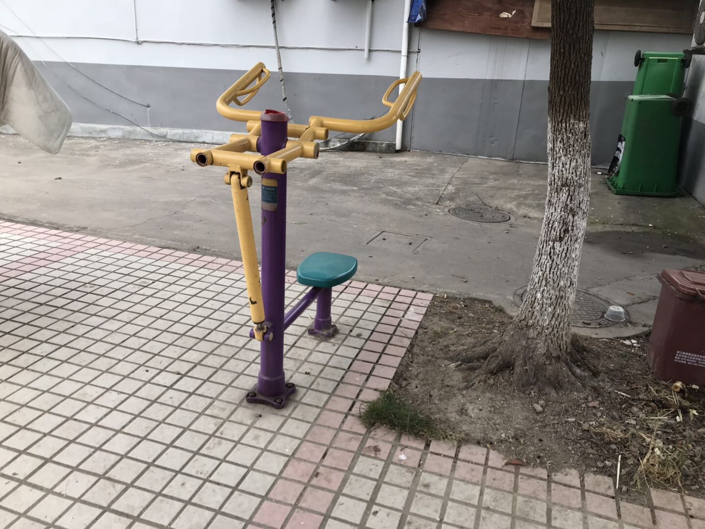 ��֫������