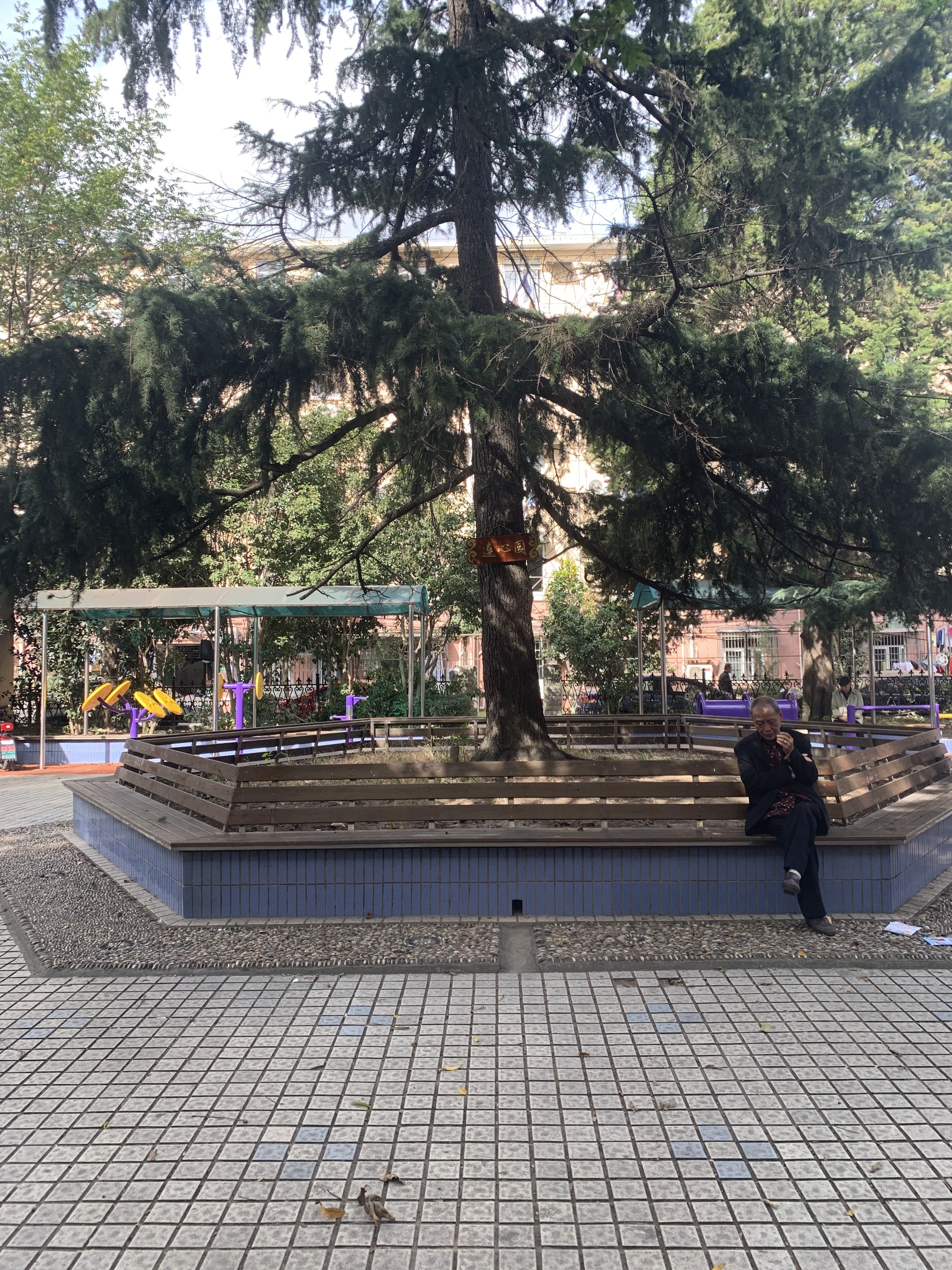 �ؽ����35�Ž�����