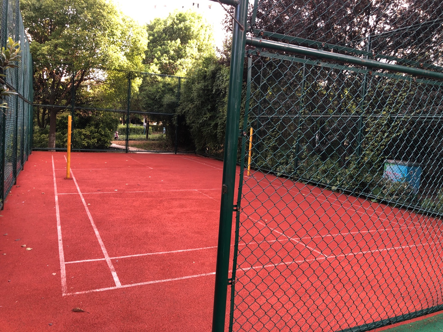 �������Ķ�԰��ë��