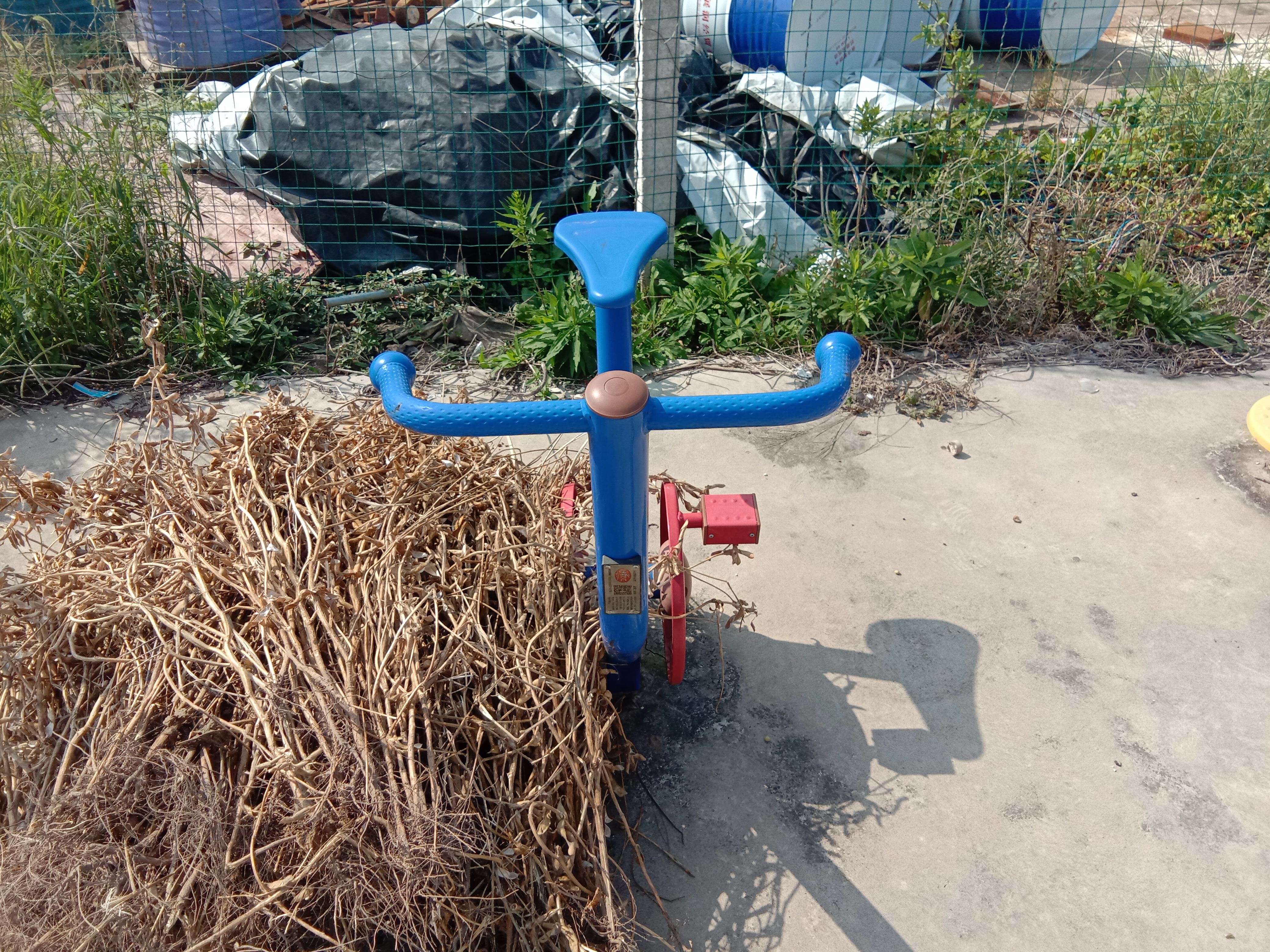 ֱ��������