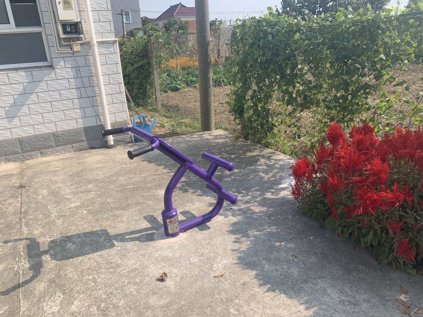 ����ѵ����