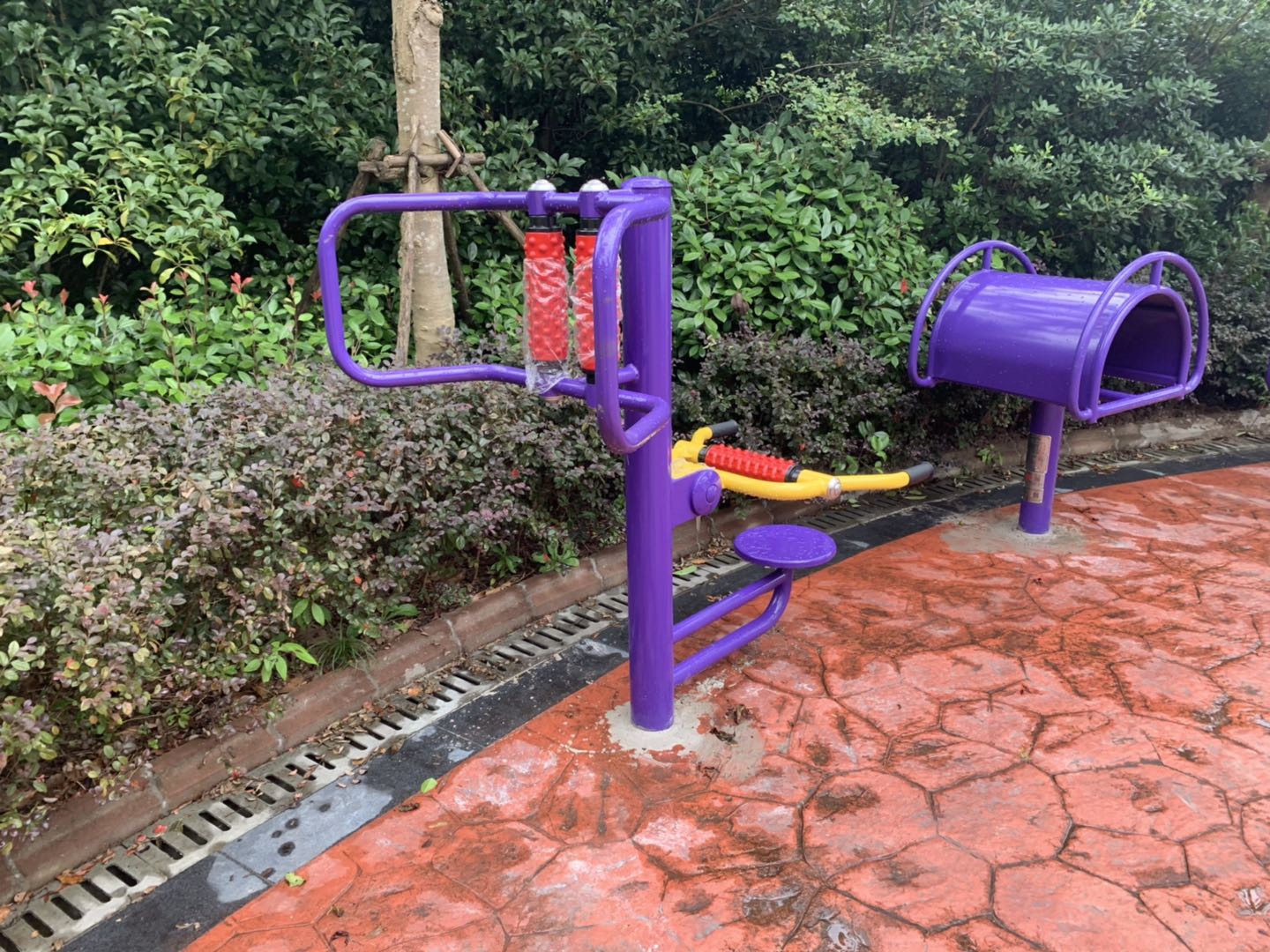 ������Ħ��