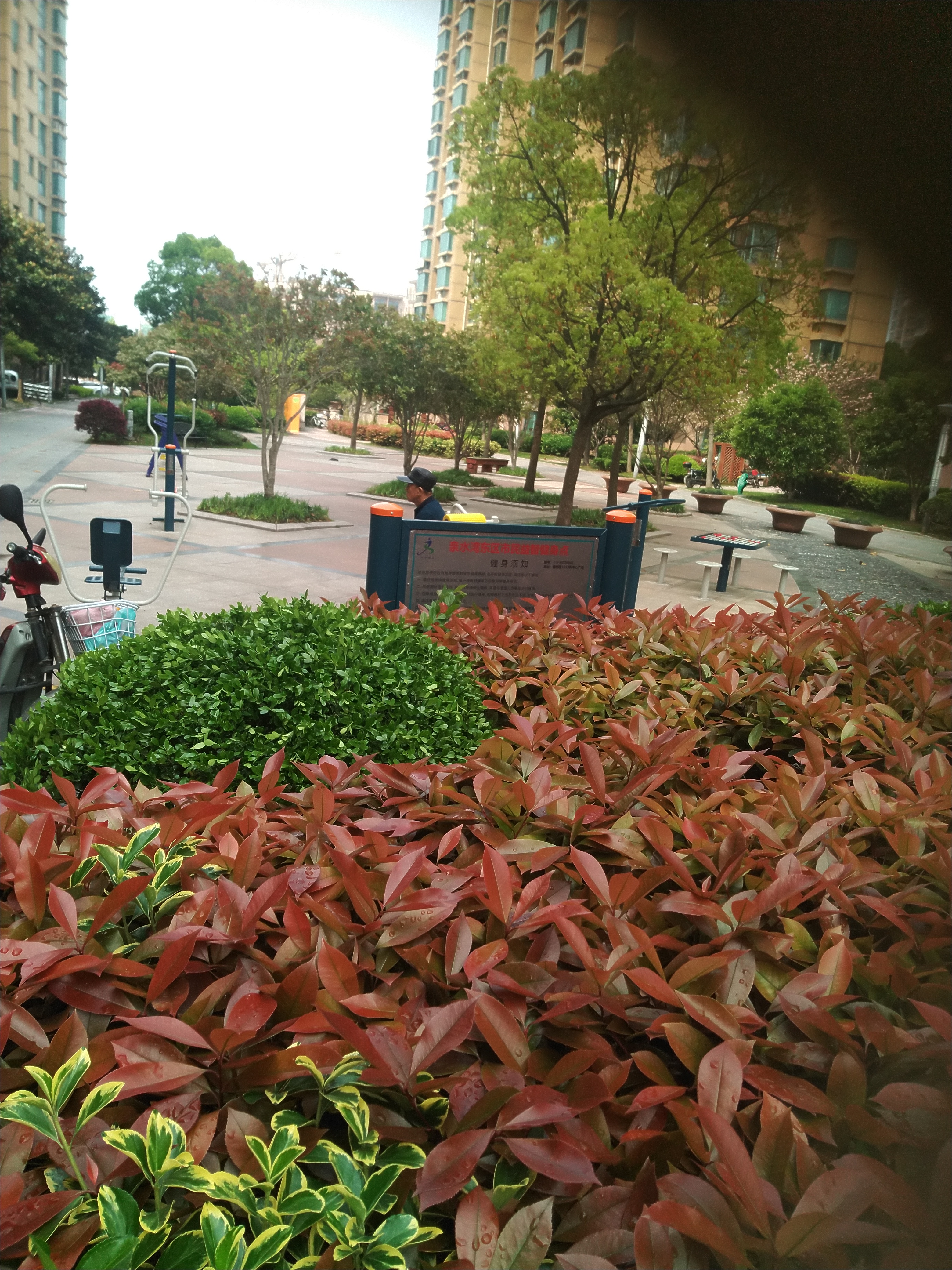 ��ˮ�嶫���������ǽ�����