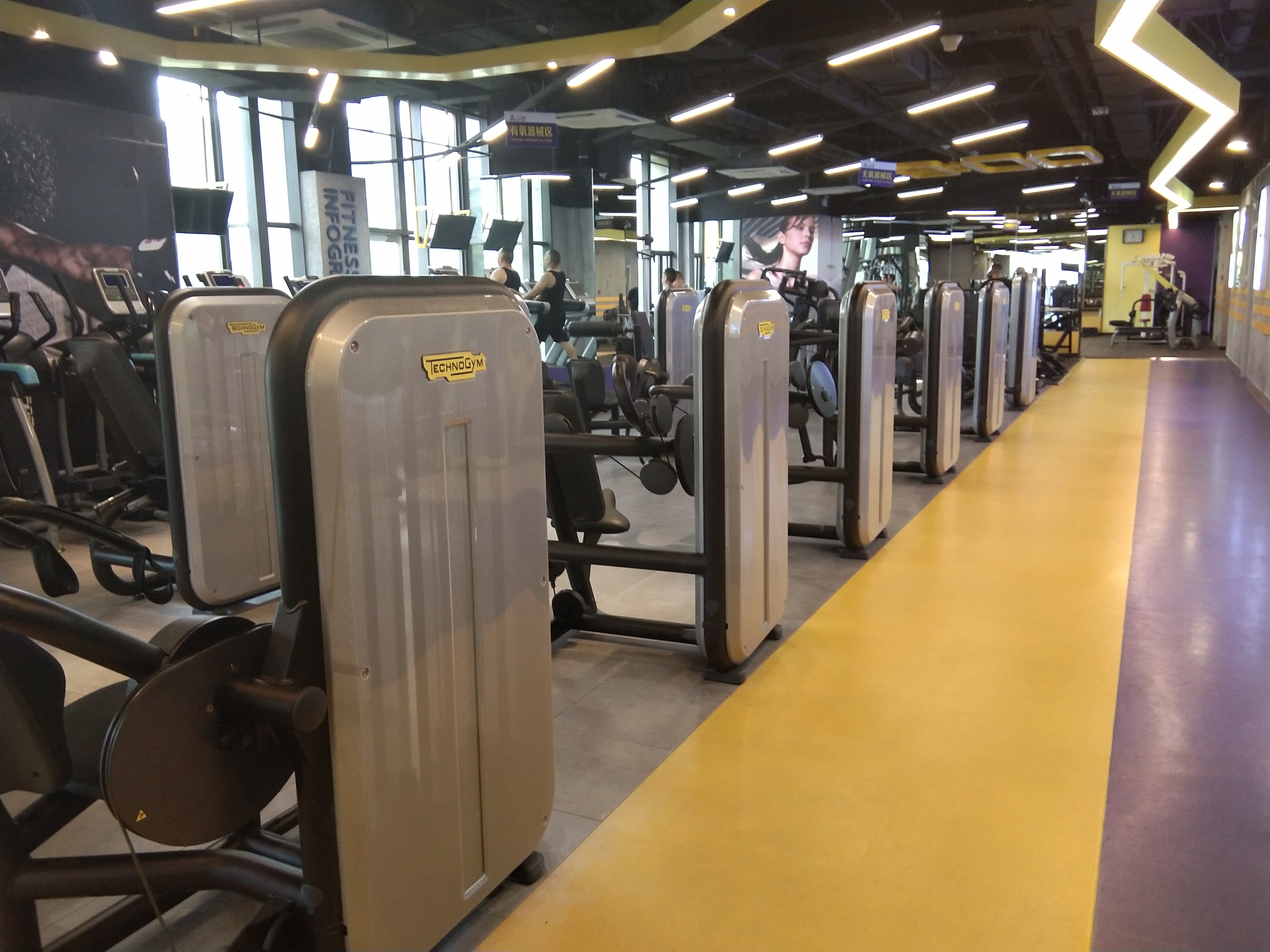 �Ϻ�������������