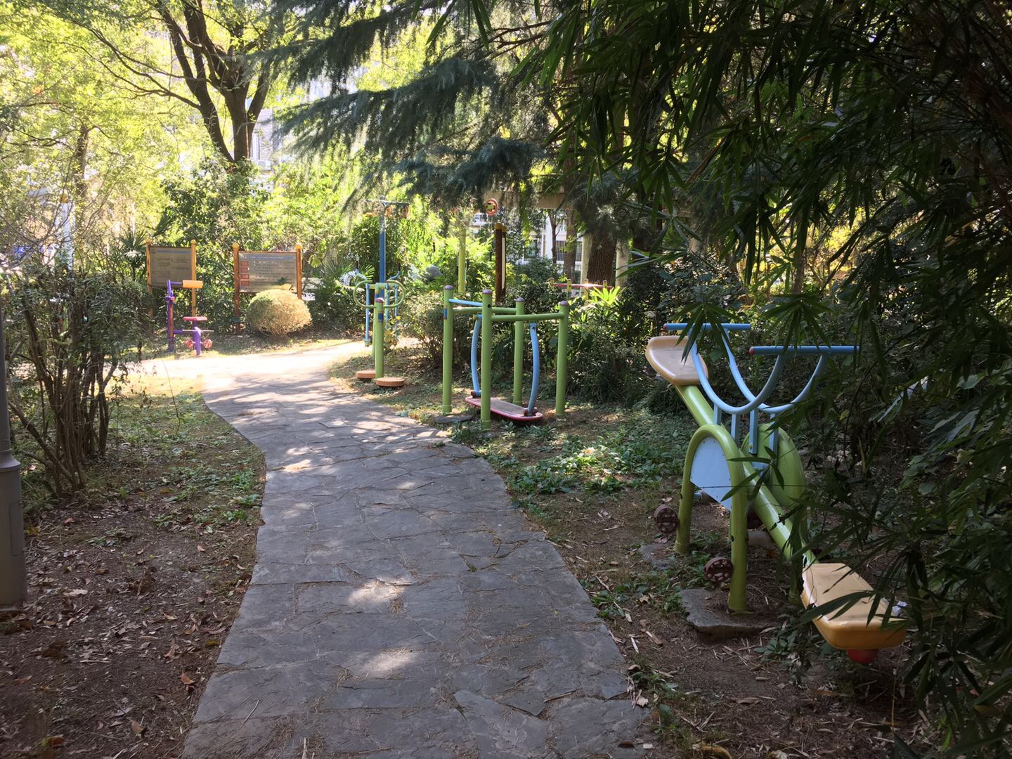 ������Է������