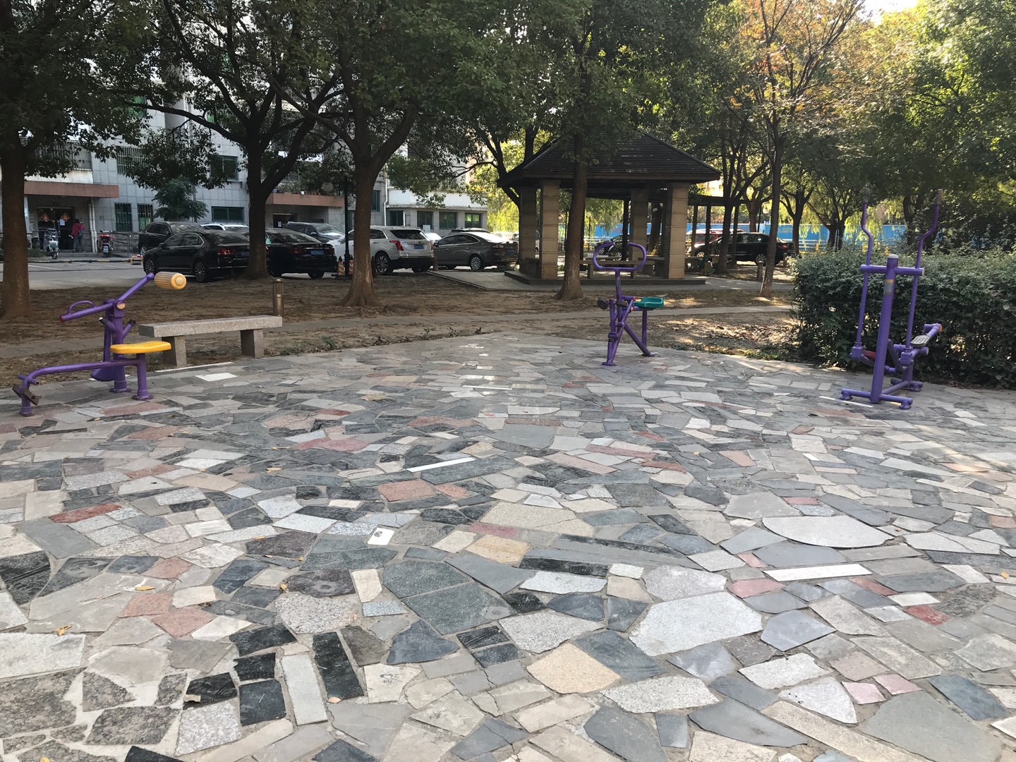 ����100֧Ū50��С��԰