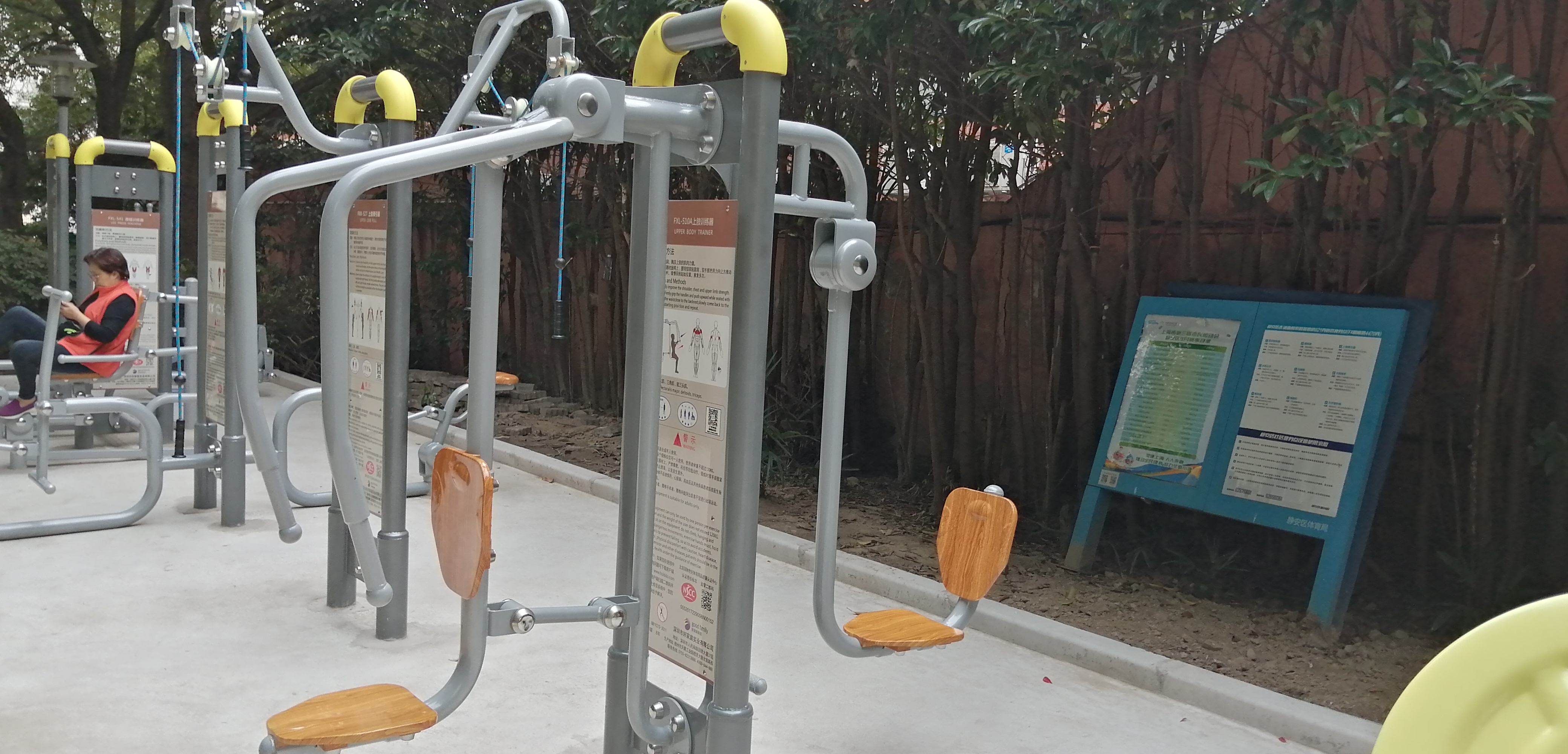 ����֫ѵ����